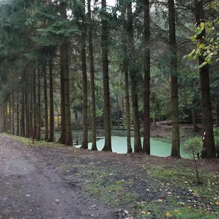 Seepark Bei Nina Mit Sauna 度假居 基希海姆