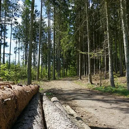 Seepark Bei Nina Mit Sauna * Kirchheim (Hessen)