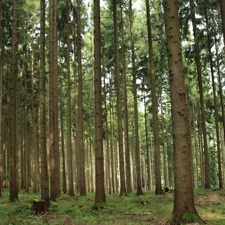 Casa vacanze Seepark Bei Nina Mit Sauna